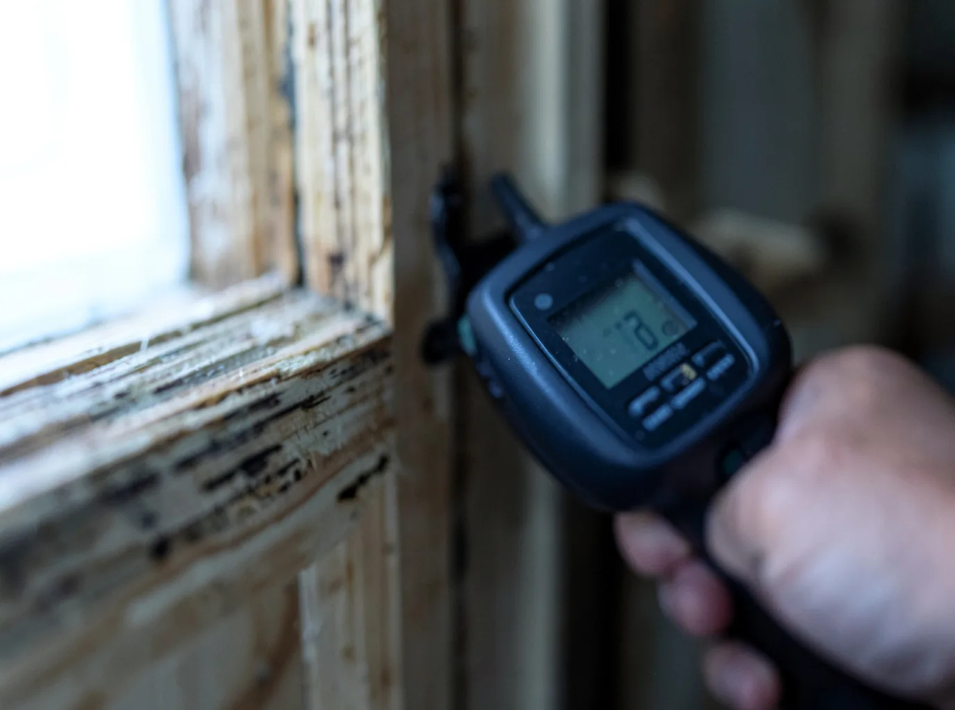 Ceiling Water Damage Repair in Payson, AZ
